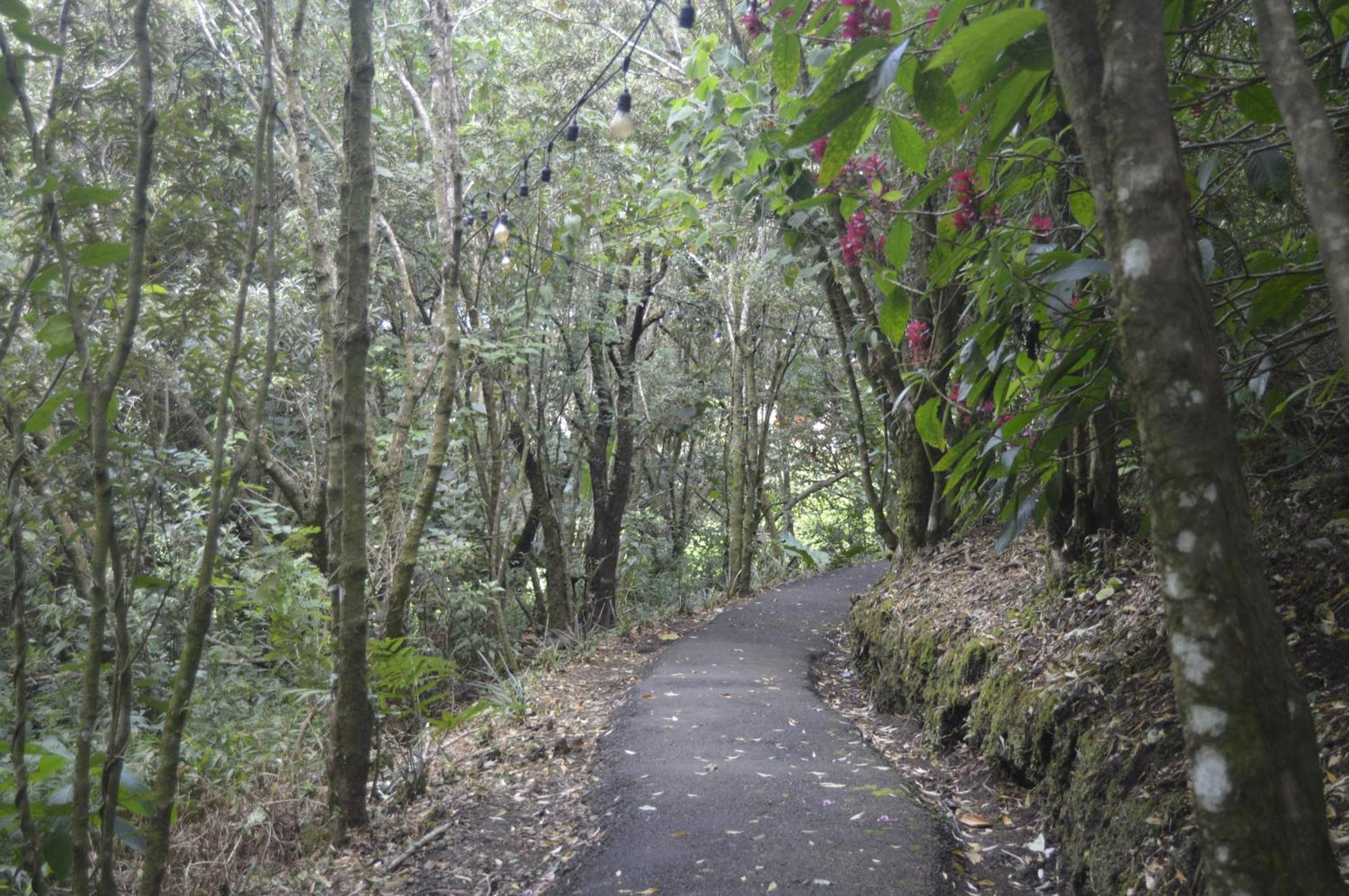 Belcruz Family Lodge Monteverde Buitenkant foto