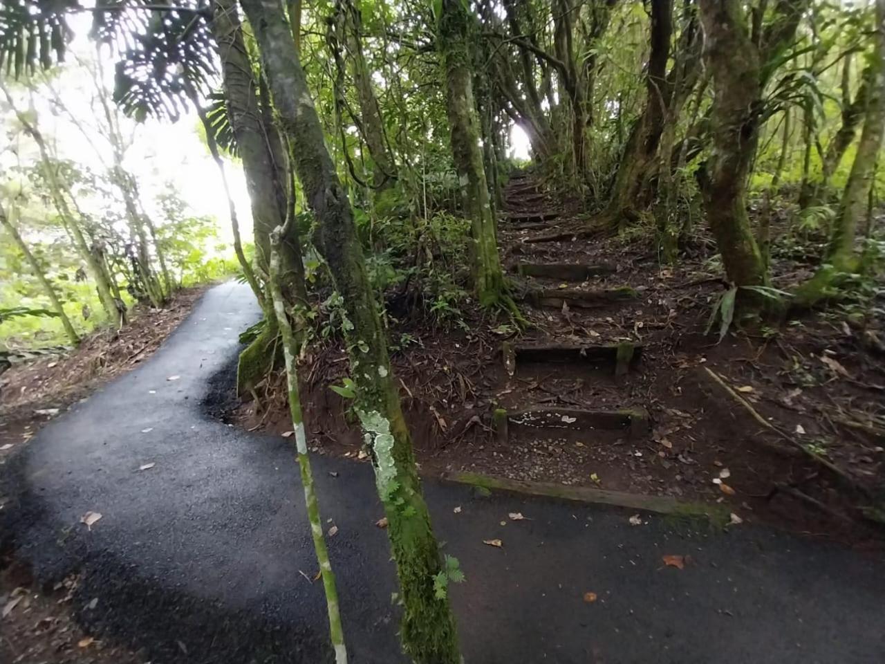 Belcruz Family Lodge Monteverde Buitenkant foto